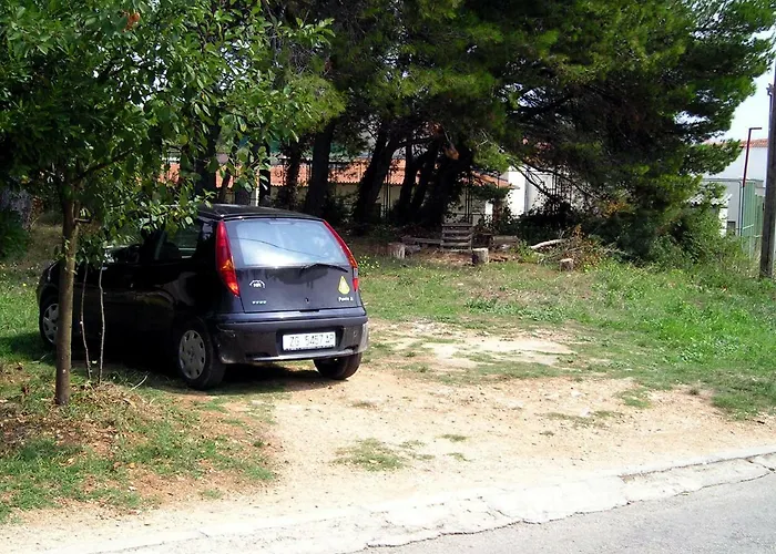 Marija Daire Zadar